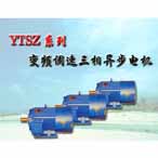 YTSZ系列冶金及起重用變頻調速三相異步電機
