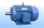 永發機電 YDT系列（IP44）風機、泵用變極多速三相異步電動機