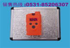 瑞安電子 RBK-6000手持式液氯探測報(bào)警器