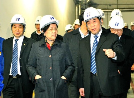 曹培璽陪同全國人大副委員長陳至立到華能北京熱電廠調研