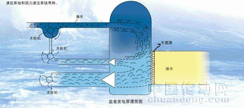 海水鹽差發電很“給力”